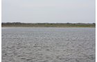 Property photo 15 - 194.67 Acres Offered in 2 Tracts